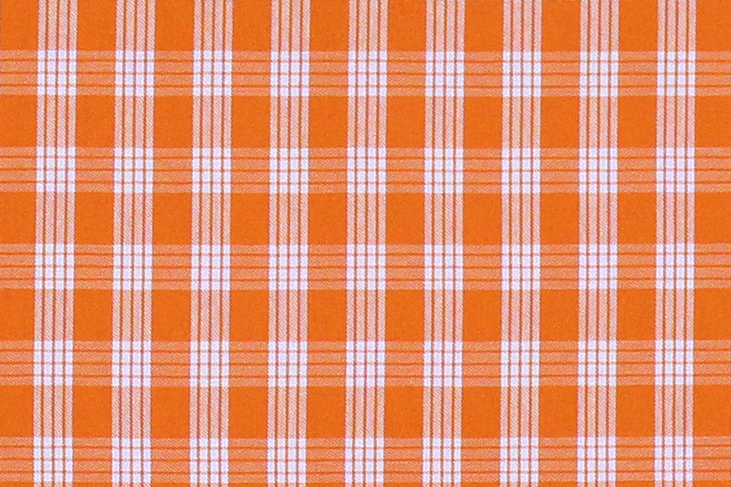 PALAKA Orange