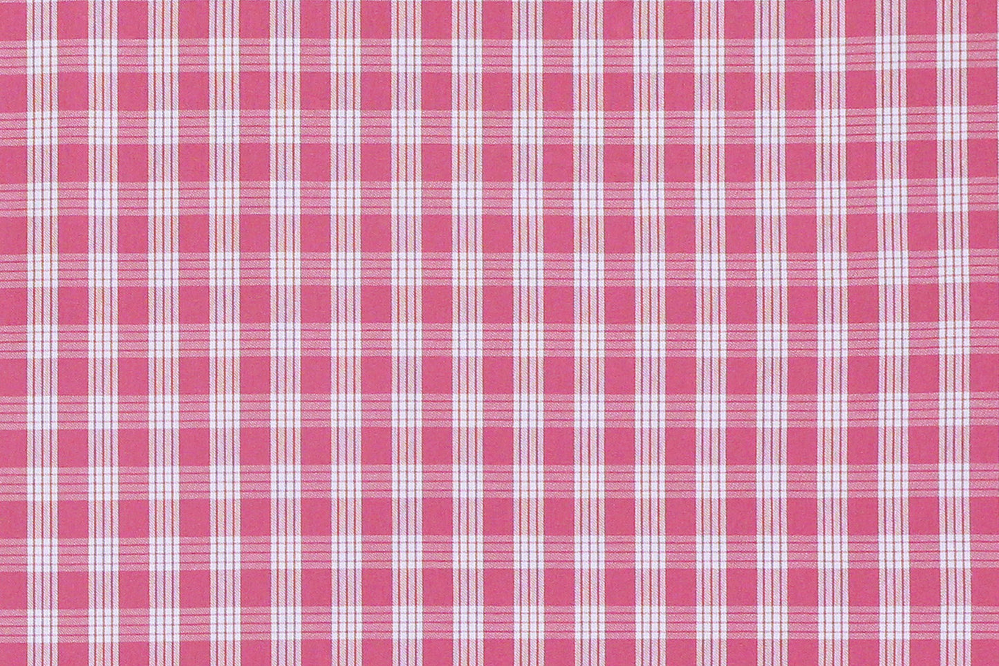 PALAKA Pink