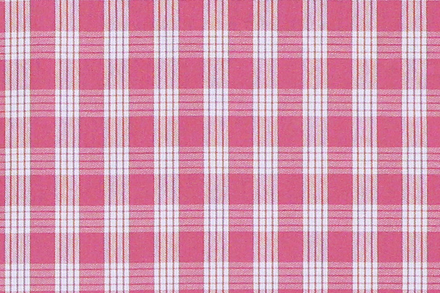 PALAKA Pink