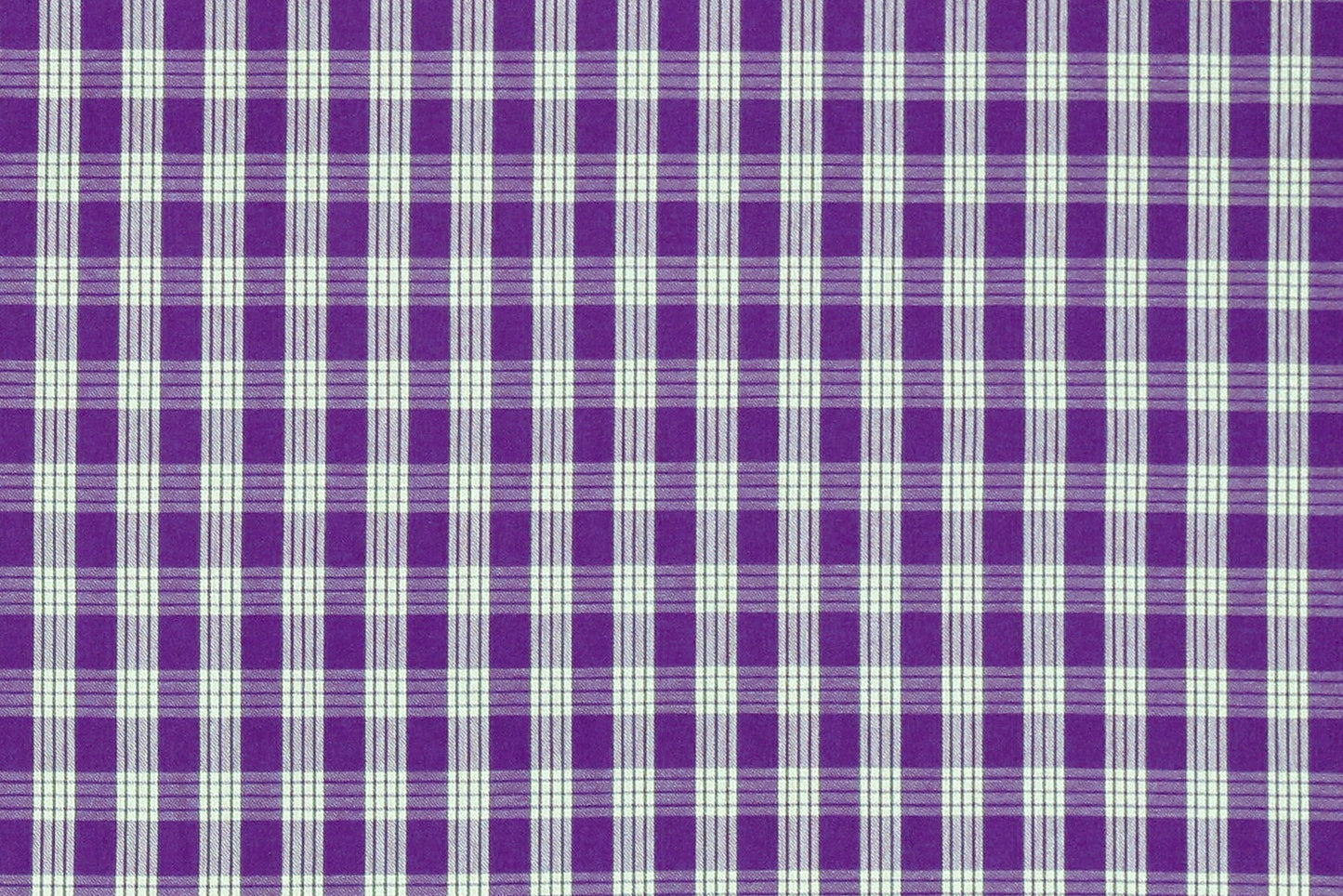 PALAKA Purple