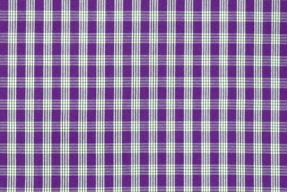 PALAKA Purple