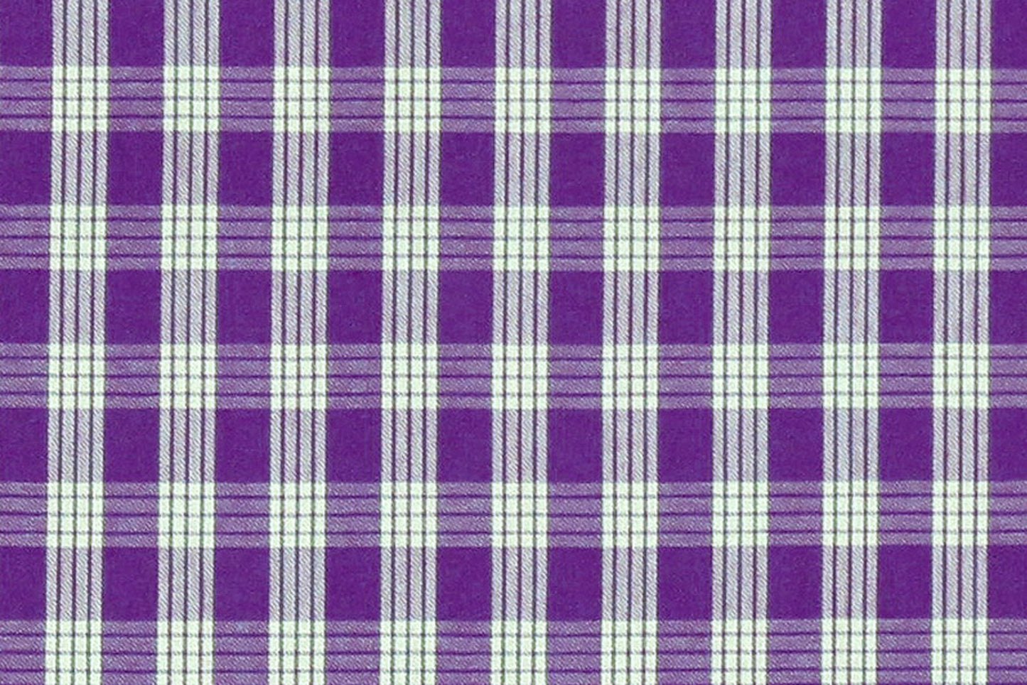 PALAKA Purple