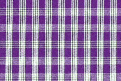 PALAKA Purple