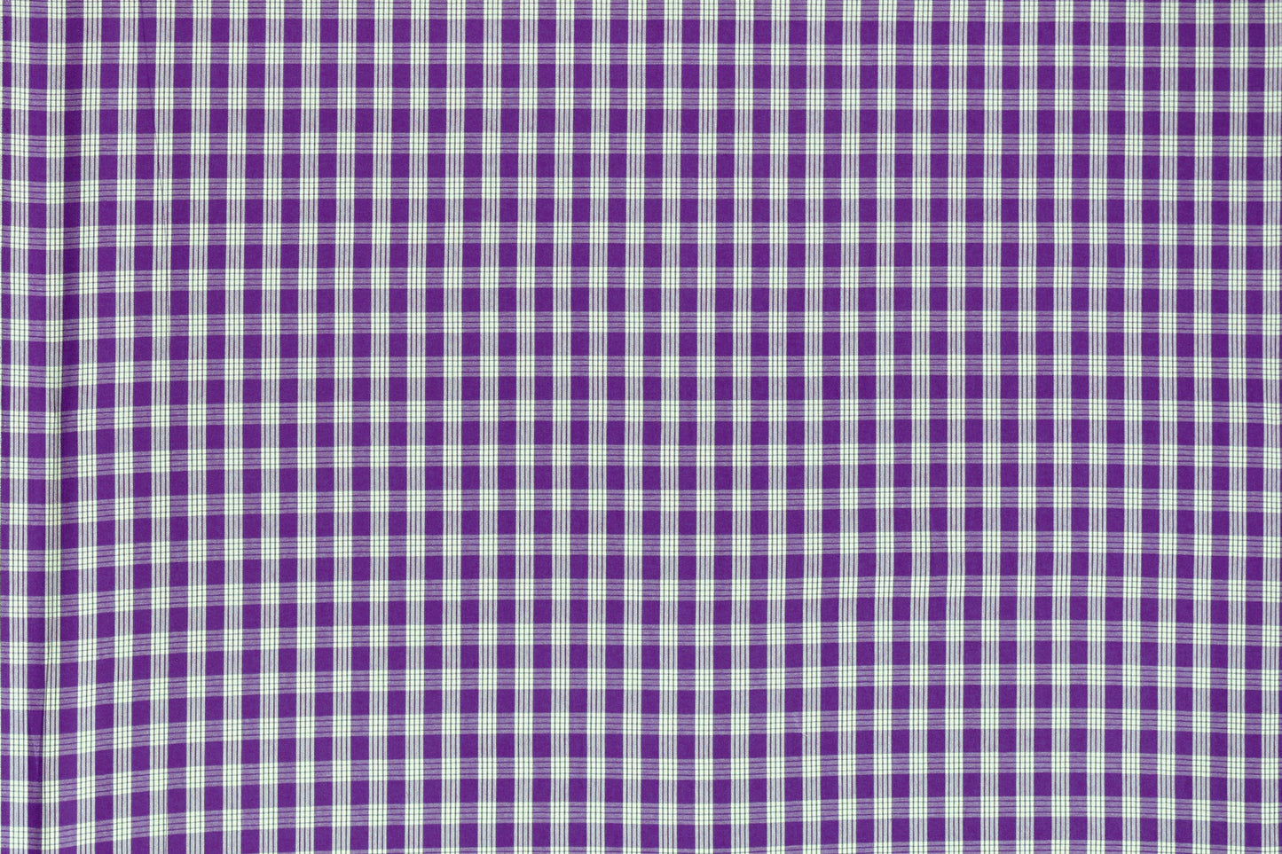 PALAKA Purple