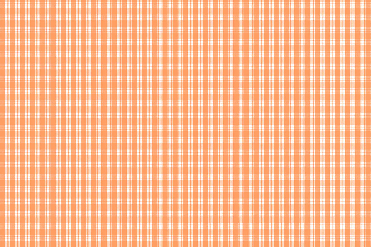 PALAKA Tangerine