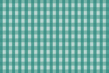 PALAKA Teal