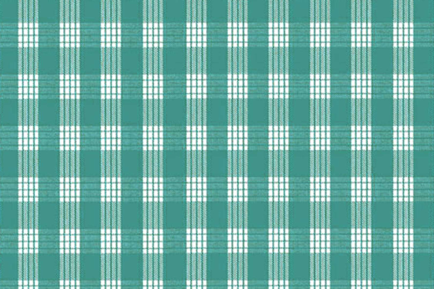 PALAKA Teal