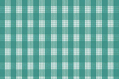 PALAKA Teal