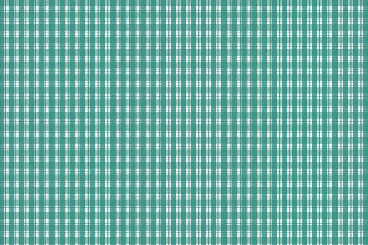 PALAKA Teal