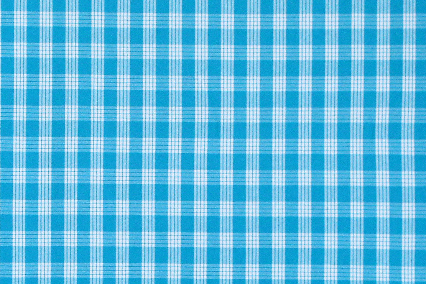 PALAKA Turquoise