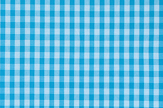 PALAKA Turquoise