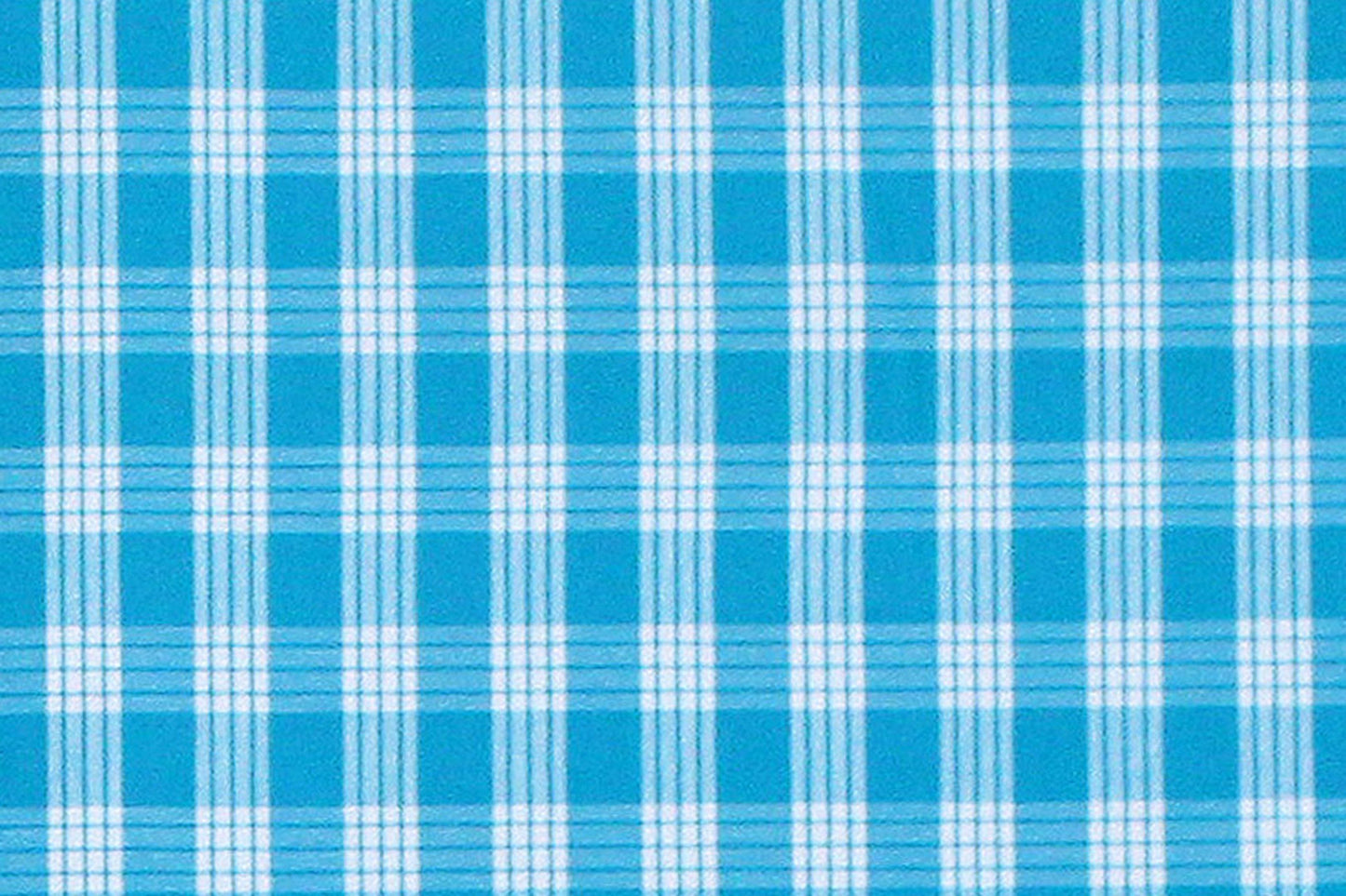 PALAKA Turquoise