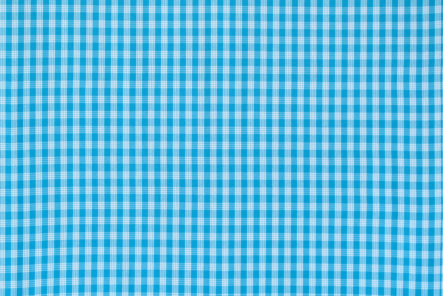 PALAKA Turquoise