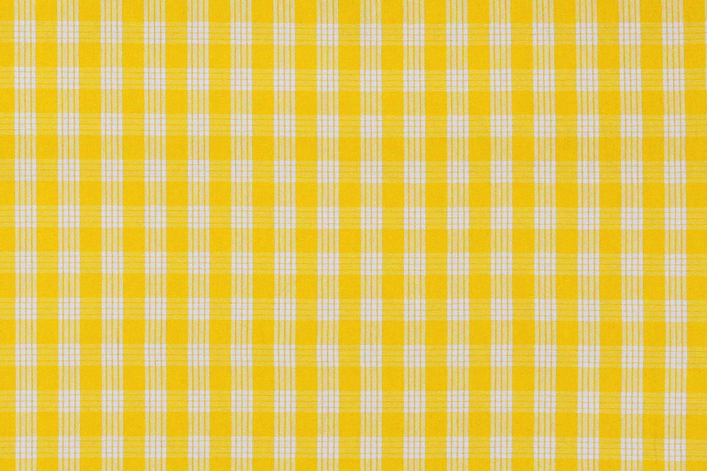 PALAKA Yellow