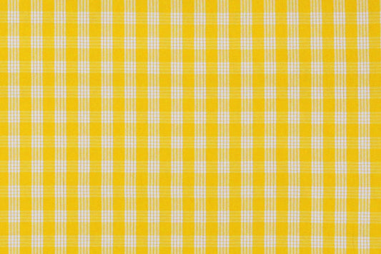 PALAKA Yellow