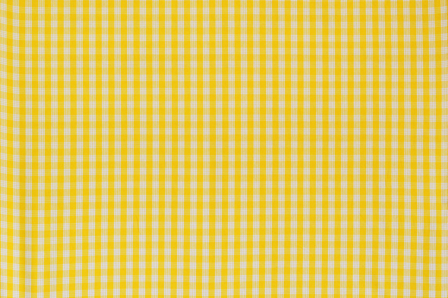 PALAKA Yellow