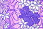 PBA0005 Pink/Purple