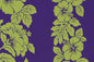 PBA1302 Eggplant