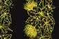 PBA1303 Black/Yellow