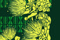 PBB0003 Green