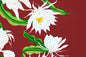 PBB0004 Red