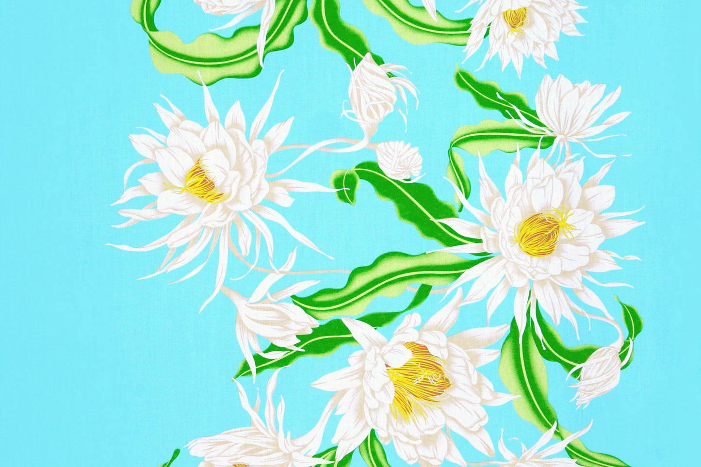 PBB0004 Seagreen