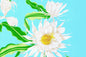 PBB0004 Seagreen