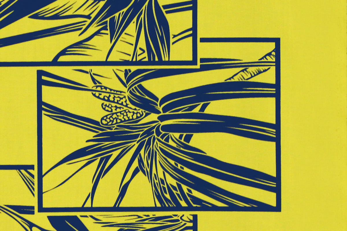 PBB0005 Navy/Yellow
