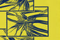 PBB0005 Navy/Yellow