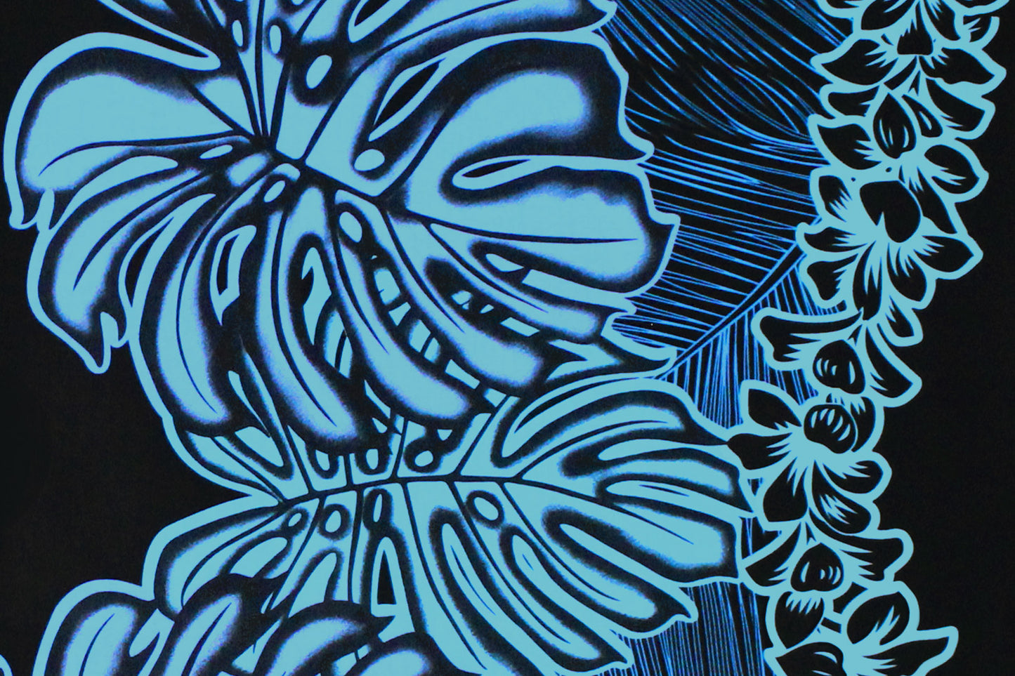 PBB2720 Black/Blue