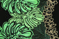 PBB2720 Black/Green
