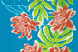 PBB2725 Turquoise