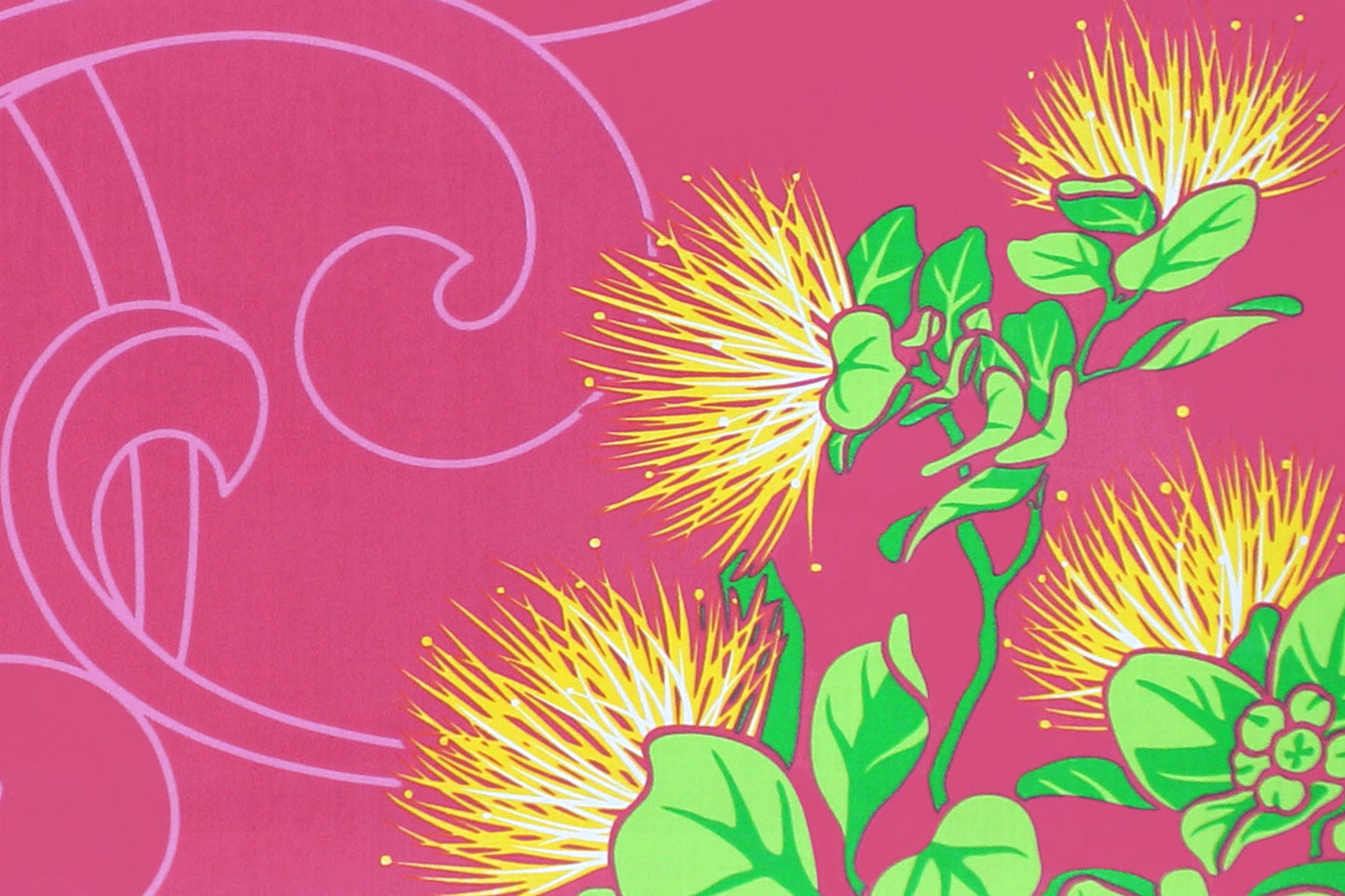 PBB2731 Fuchsia