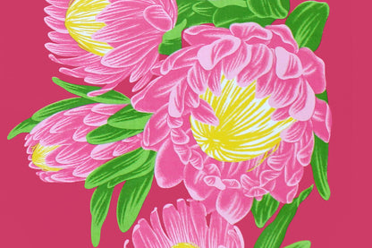 PBB2738 Fuchsia