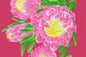 PBB2738 Fuchsia
