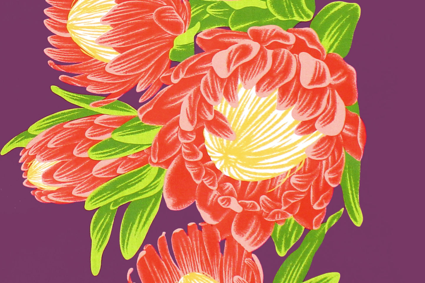 PBB2738 Plum