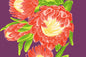 PBB2738 Plum