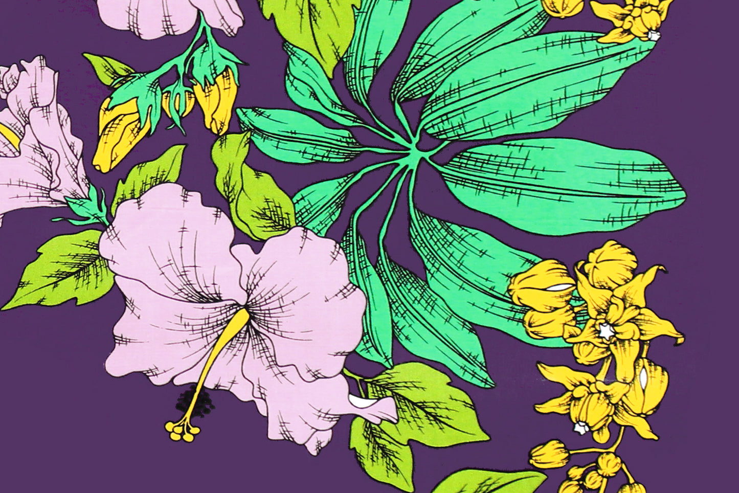 PBB2739 Purple