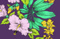 PBB2739 Purple