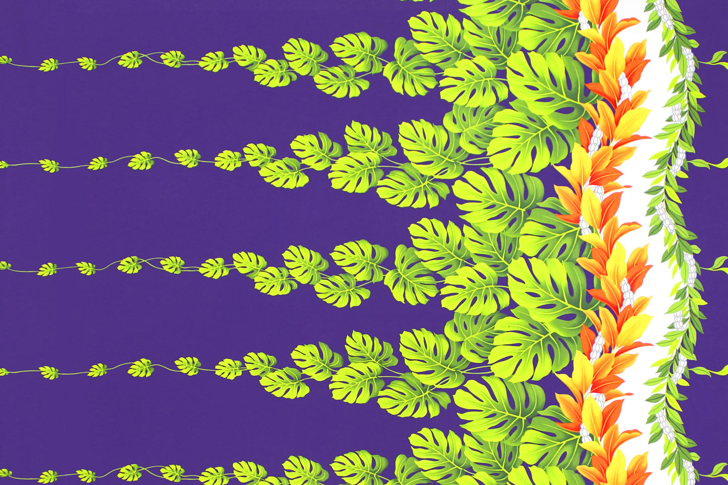 PBB2742 Purple