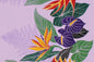 PBB2743 Lavender