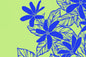 PBB2746 Green