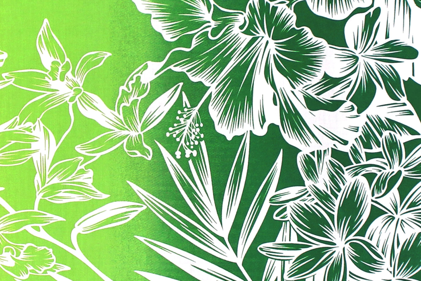 PBB2747 Green/Ivory