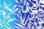 PBB2747 Turquoise/Royal/Ivory