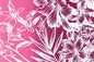 PBB2747 Yellow/Fuchsia/Ivory