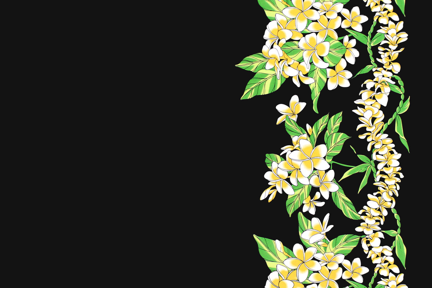 PBB2748 Black