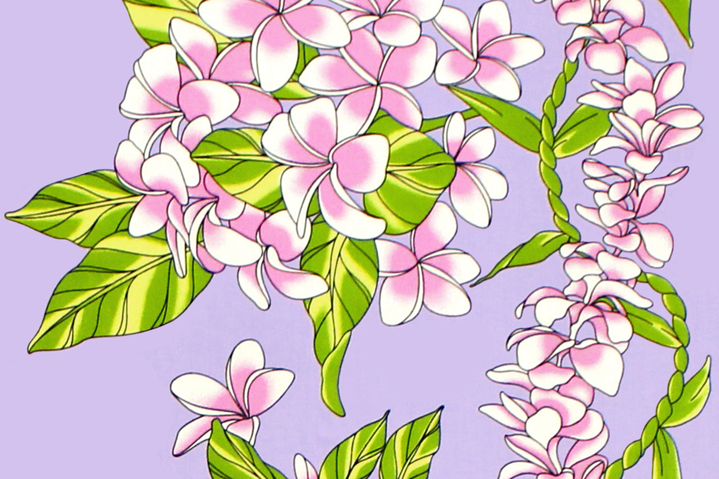 PBB2748 Lavender