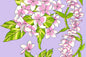 PBB2748 Lavender
