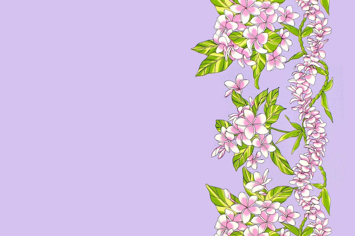 PBB2748 Lavender