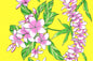 PBB2748 Lemon Yellow